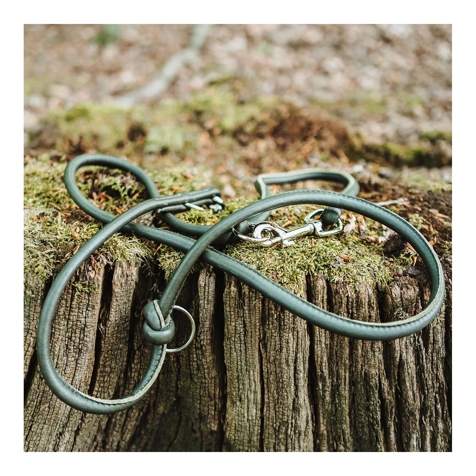 Verstellbare Hundeleine München