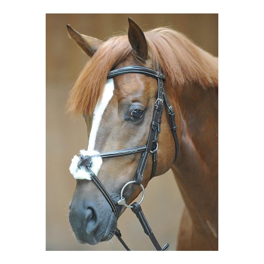 Image of Kavalkade Zaum Mexikanisch Diandro - schwarz bei Hauptner.ch