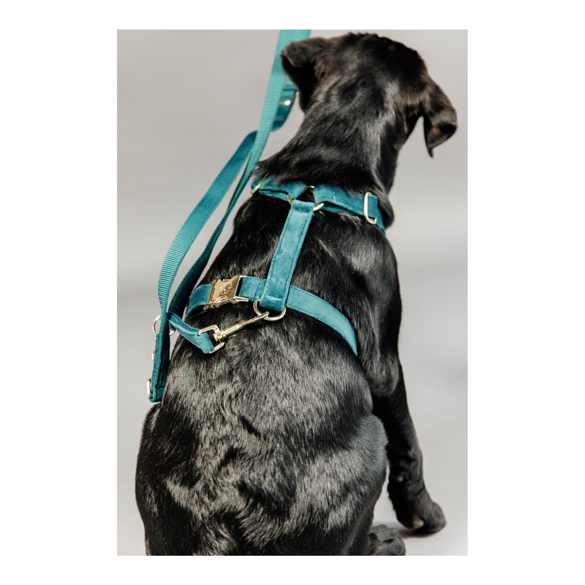 Hundeleine Velvet - emerald