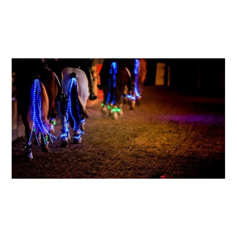 LED Schweifbeleuchtung Long 2.0 - blau