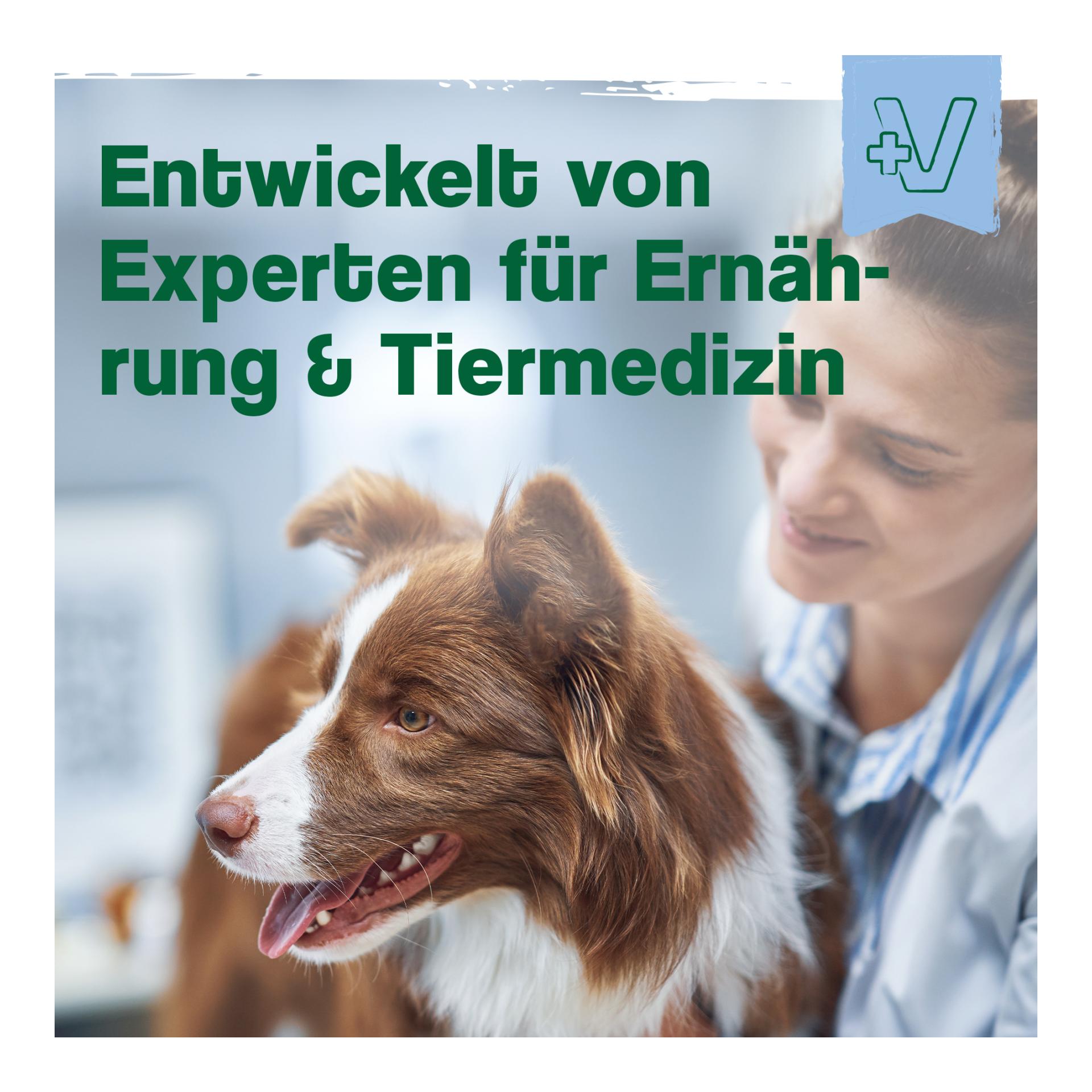 MultiVit Complex für Hunde 