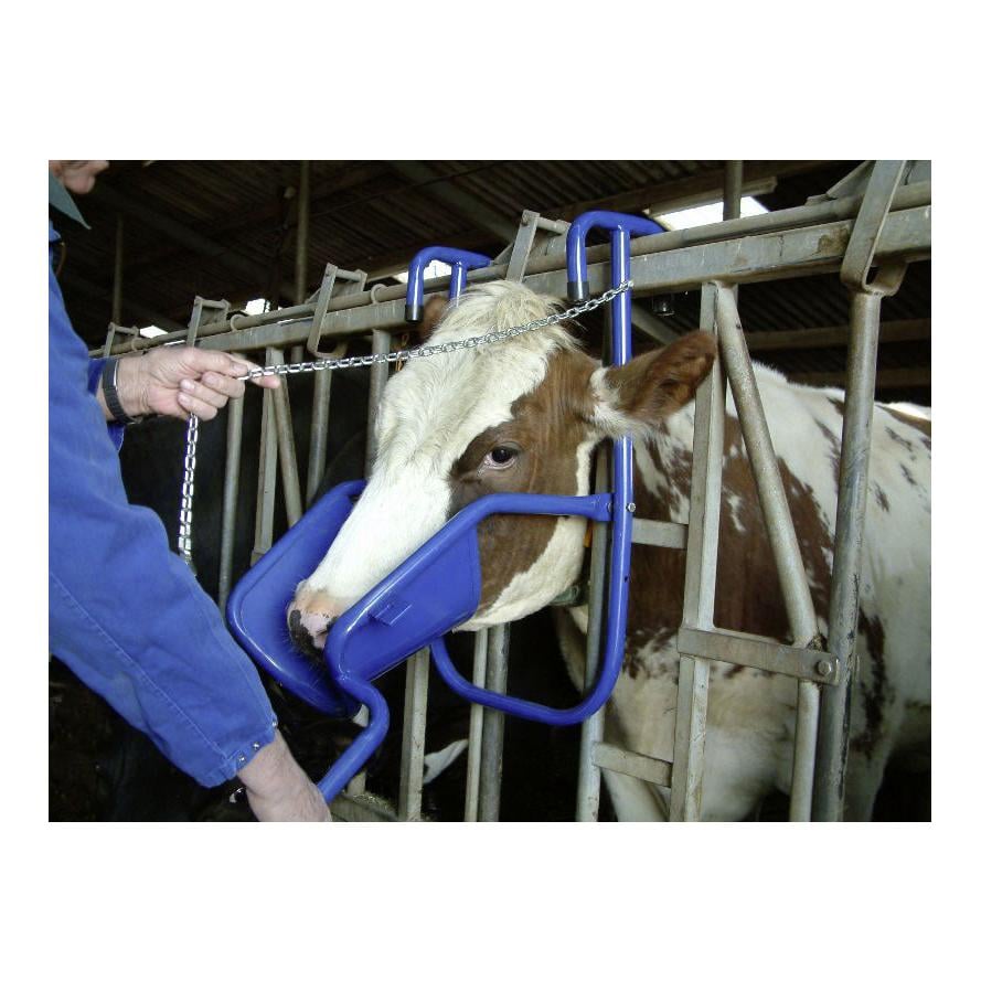 Vink-Kopfstütze für Kühe