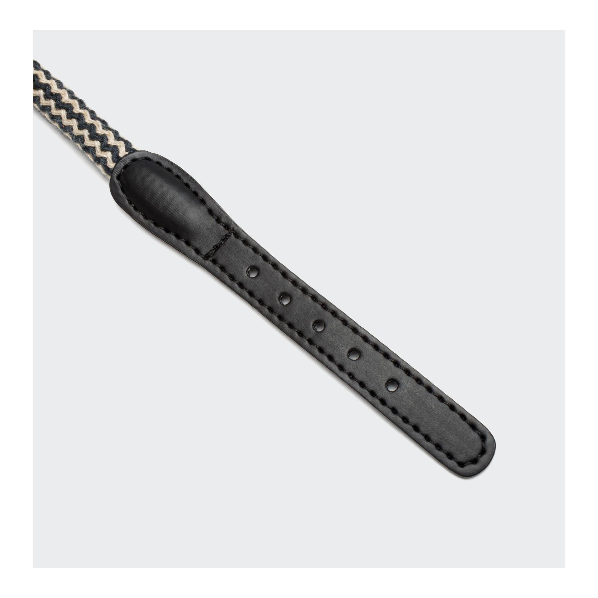 Hundehalsband Mauerpark