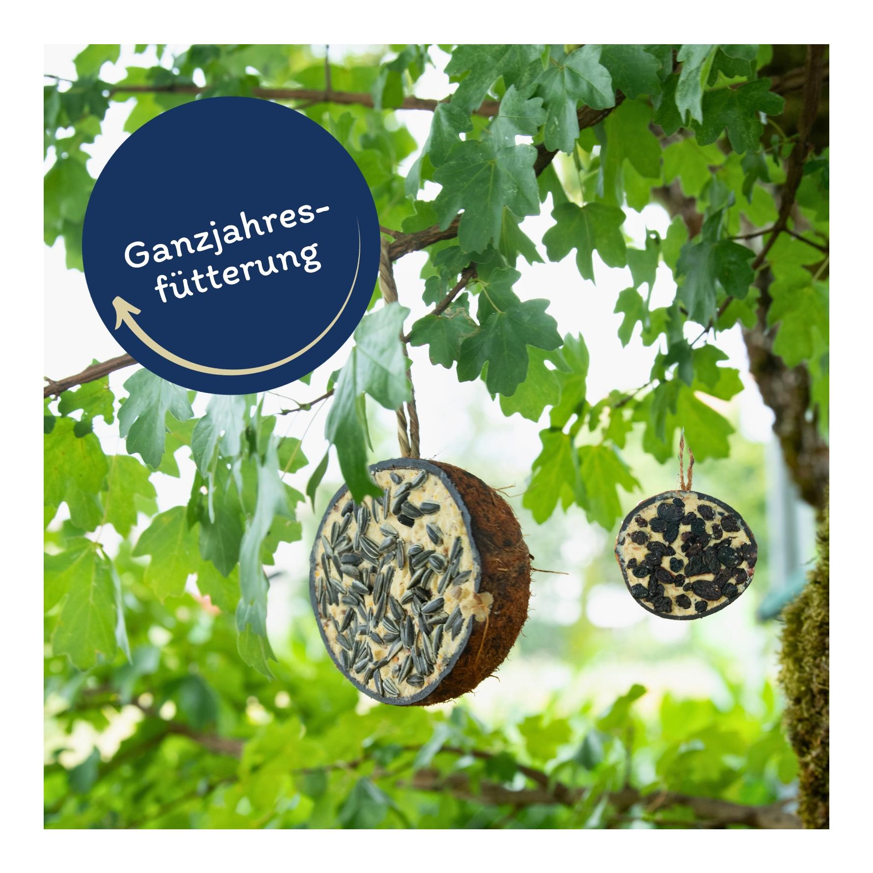 Halbe Kokosnuss gefüllt