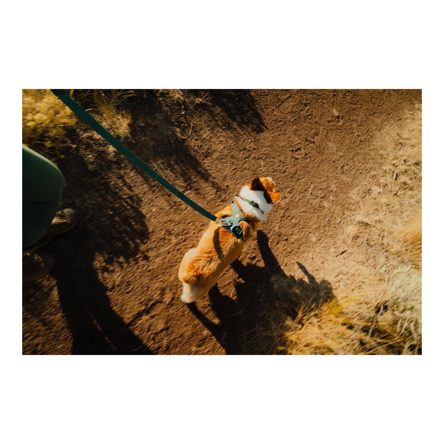 Ruffwear Front Range™ Flex Hundeleine