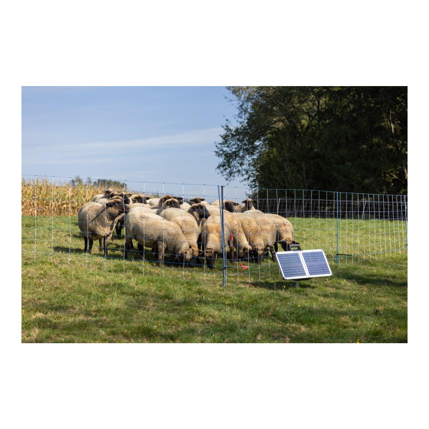 AKO Piquet de soutien pour filet de saule