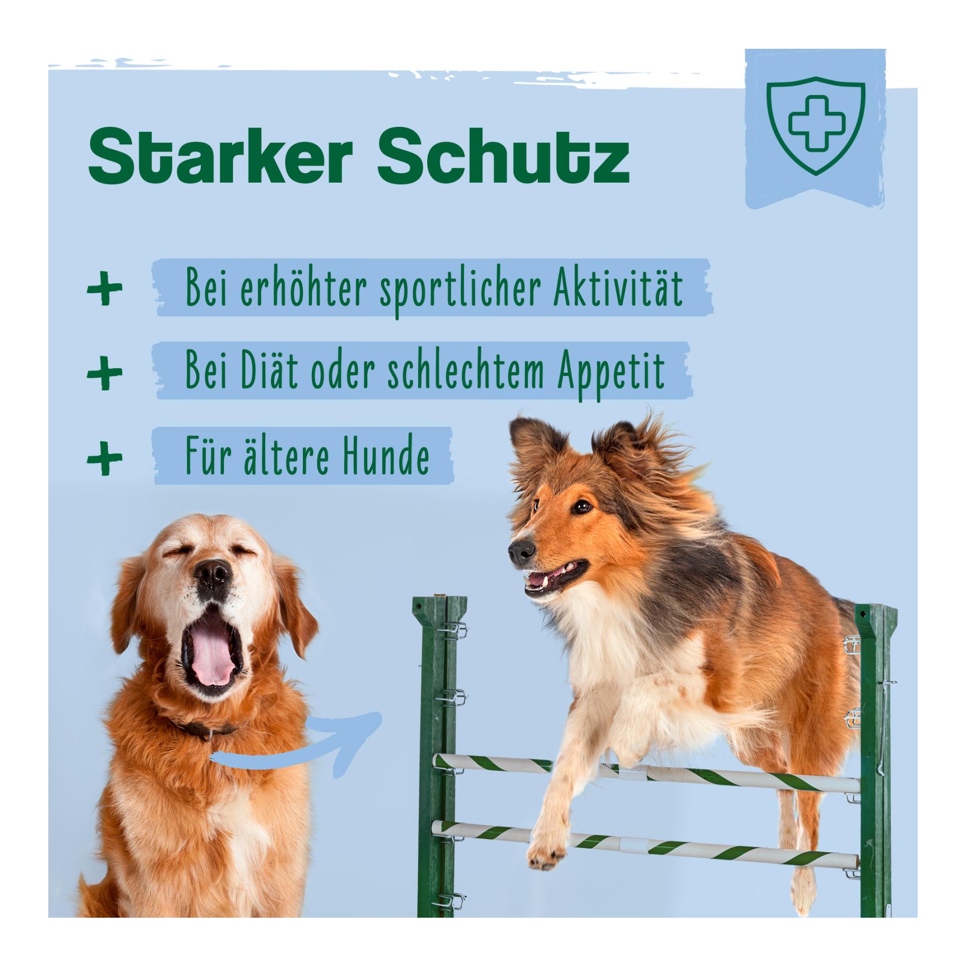 IdaPlus Jus multi-vitaminé pour chiens – 17 vitamines importantes pour les chiens