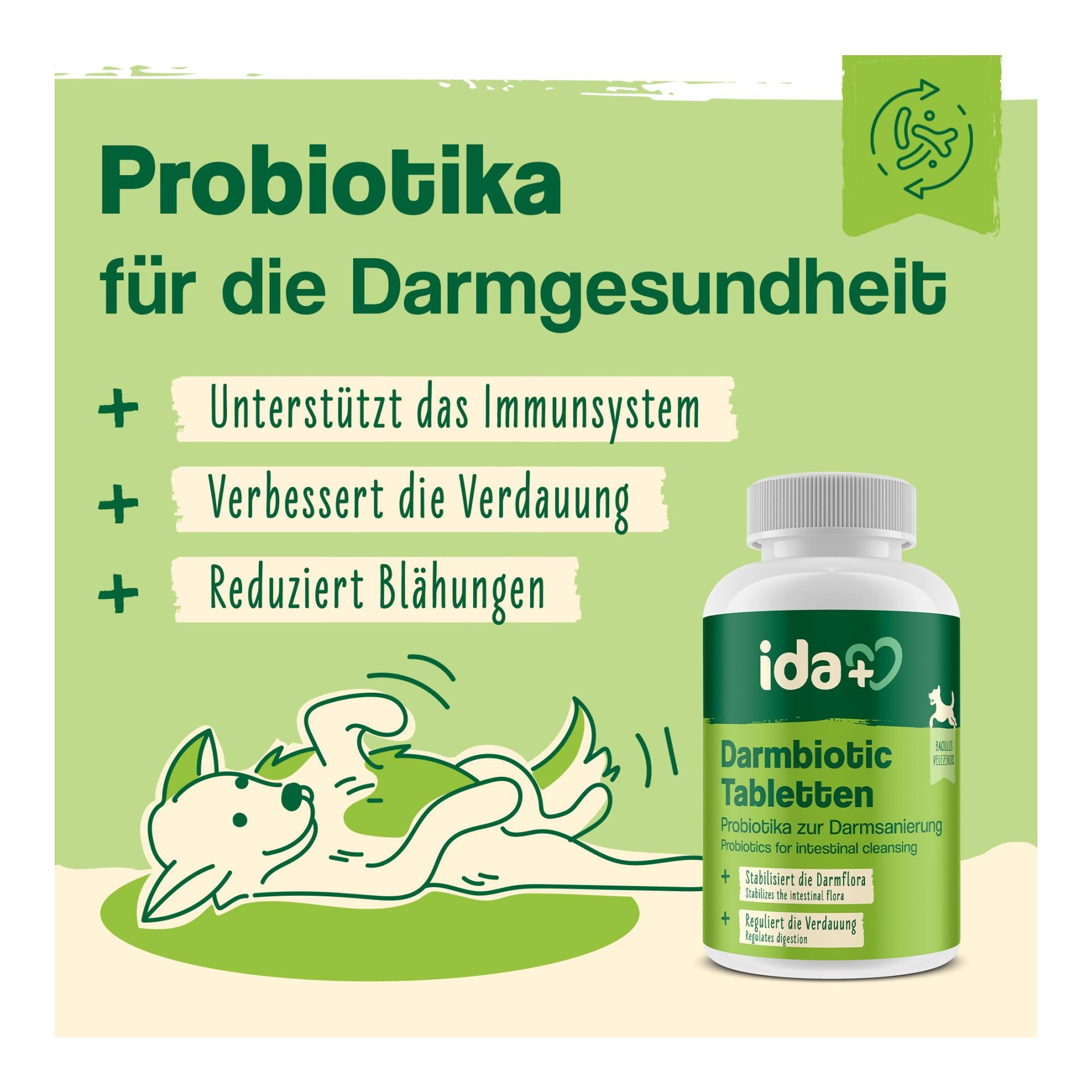 IdaPlus Darmbiotic - Probiotika zur Darmsanierung 