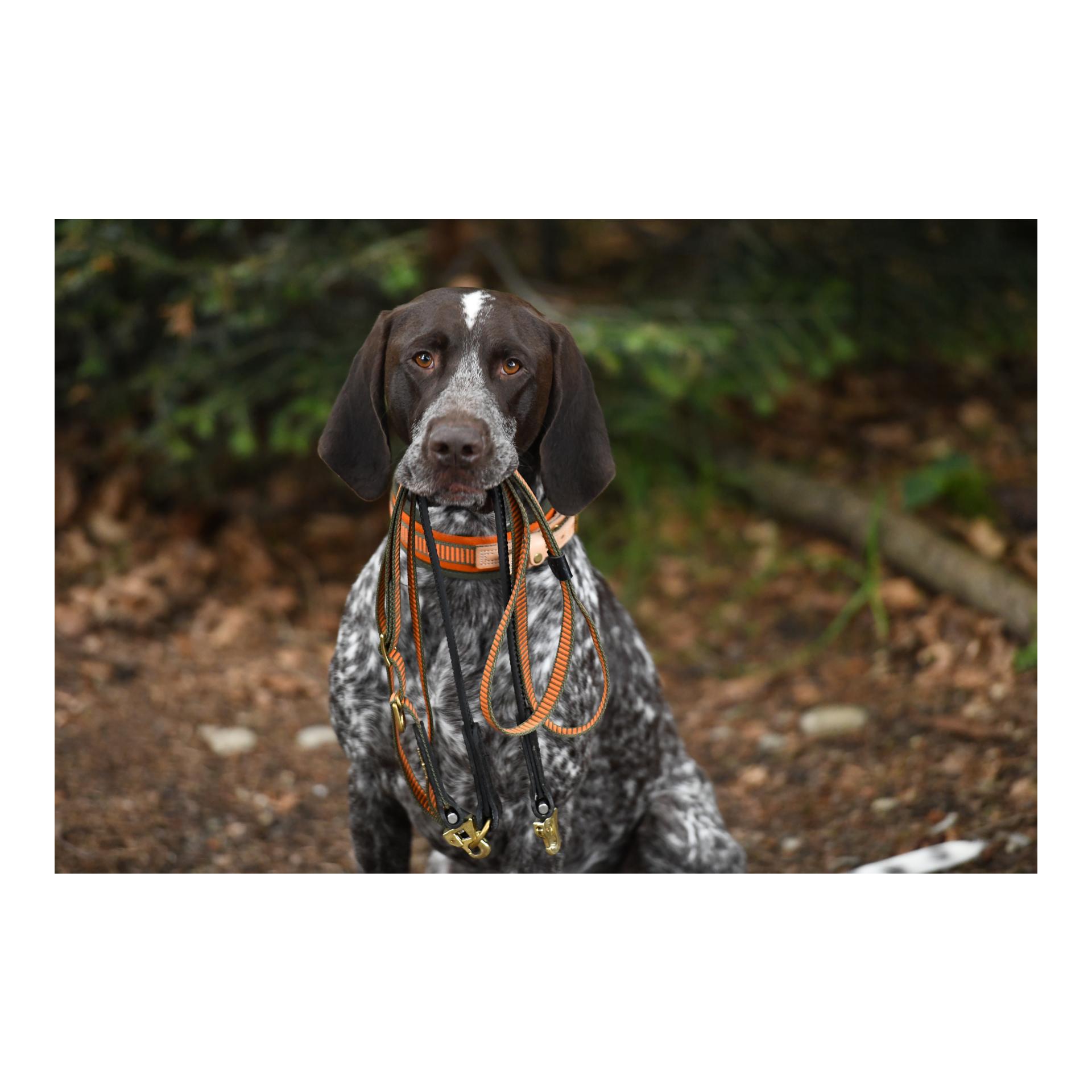 Schweissriemen 20 mm