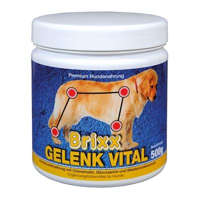 Image of Starhorse Brixx Gelenk Vital für Hunde bei Hauptner.ch
