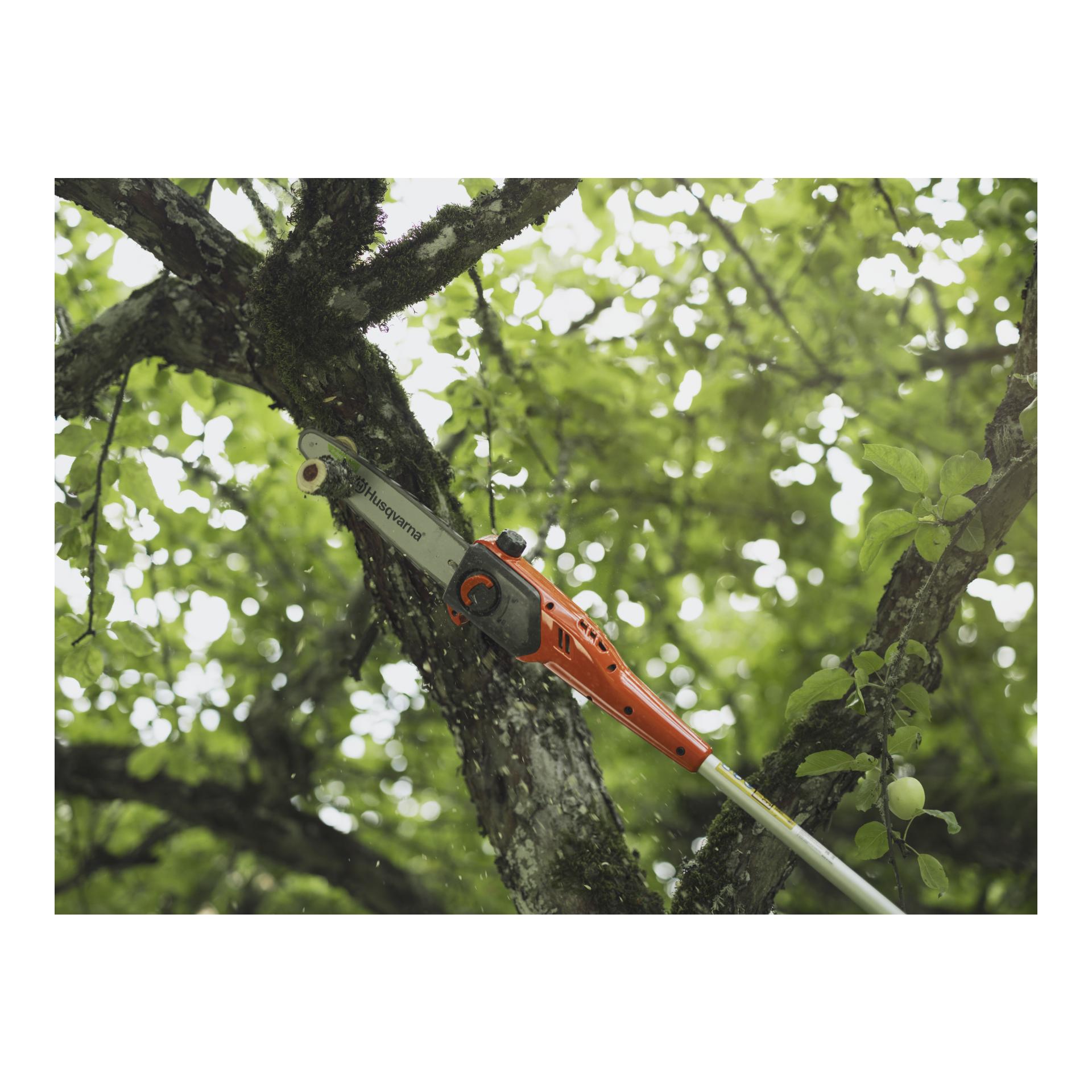 Elagueur sur perche FLXi DP110