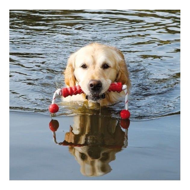 Dog Activity MOT®Long schwimmend- assortiert