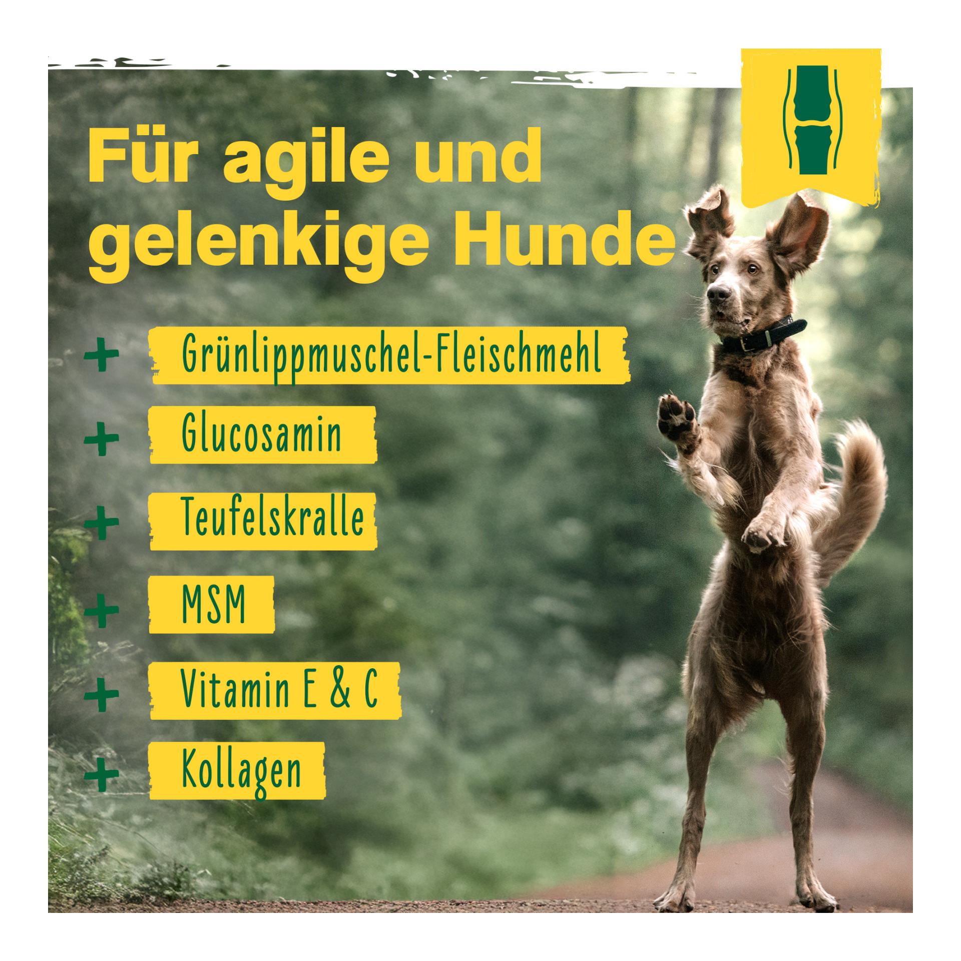 IdaPlus 12-in-1-Move Complex