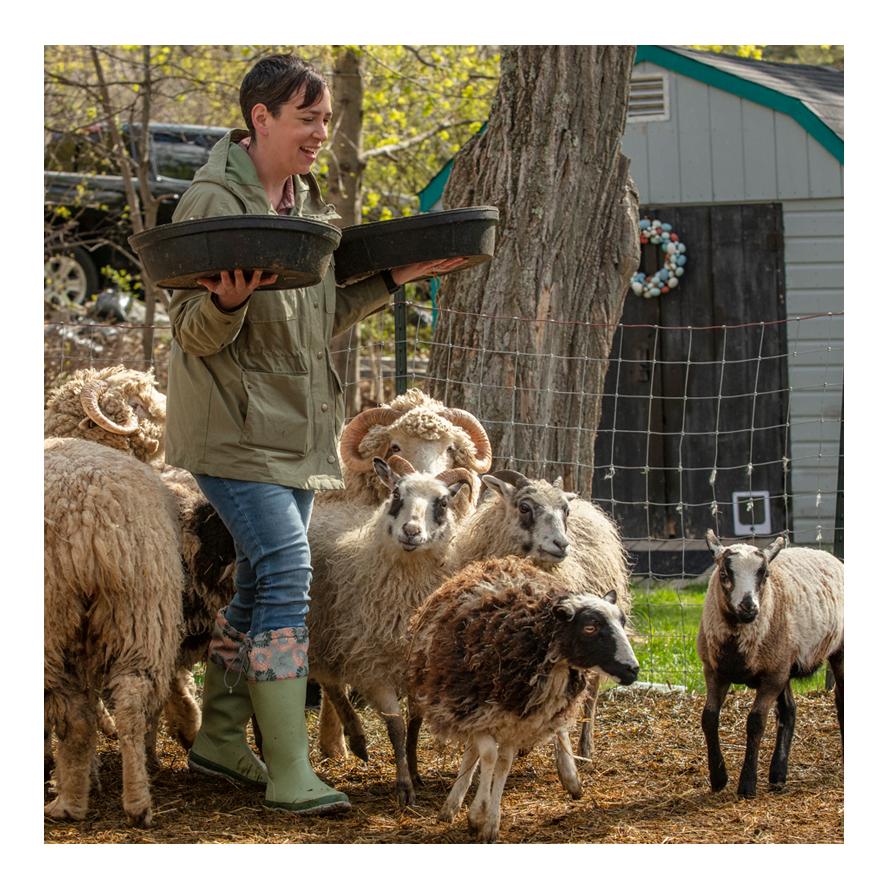 Stiefel Forager Tall - grün