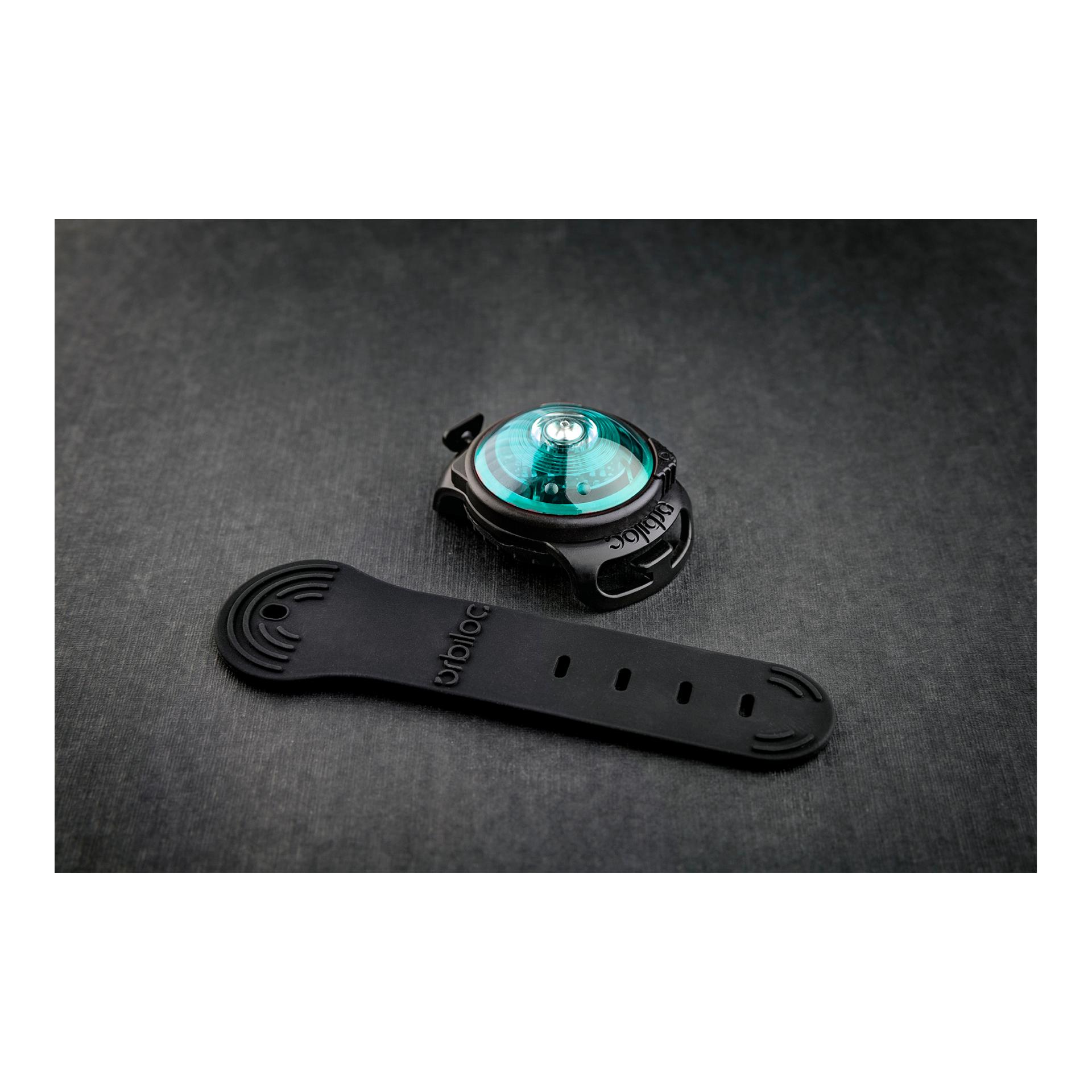 Safety Light Orbiloc Dog Dual - türkis