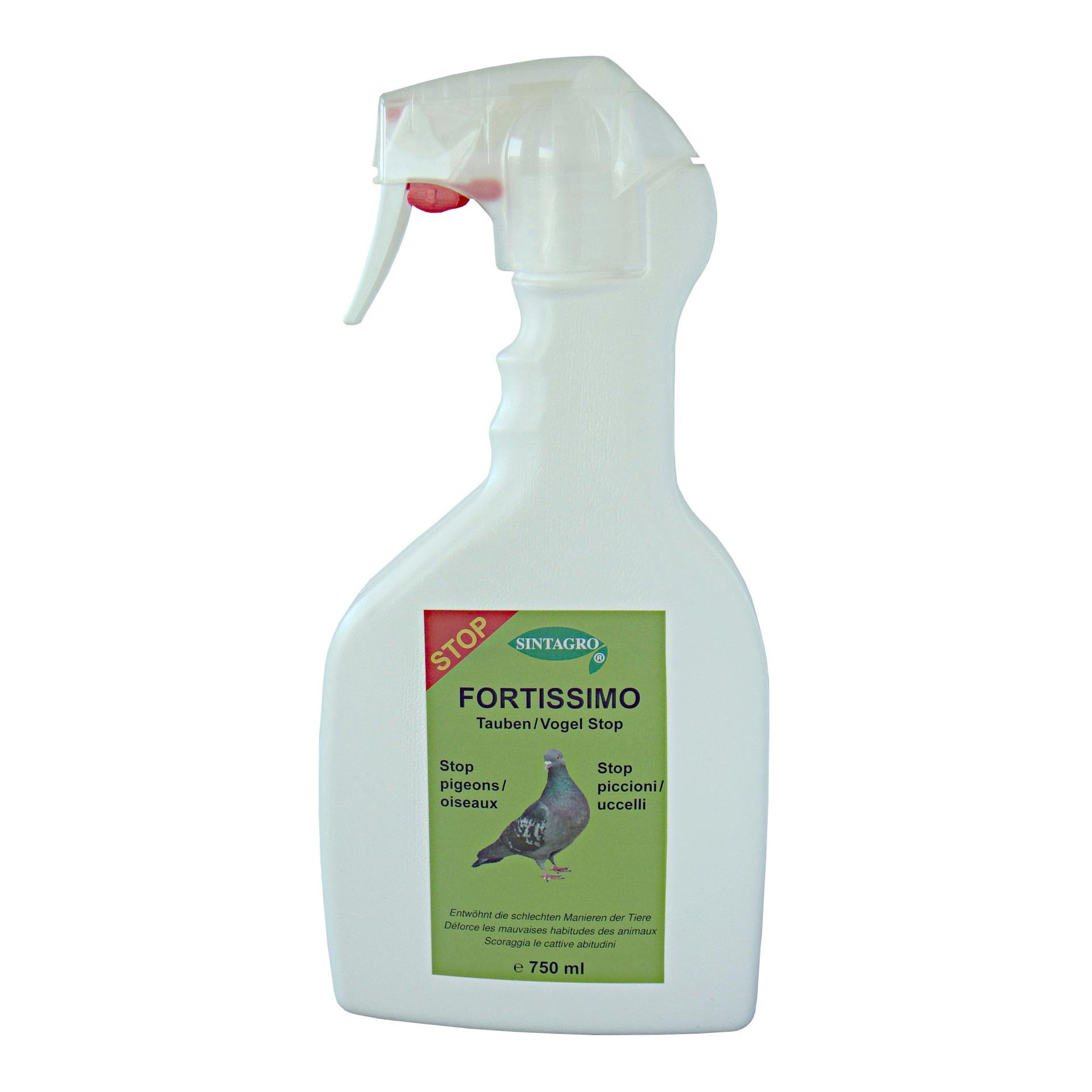 FORTISSIMO Tauben STOP