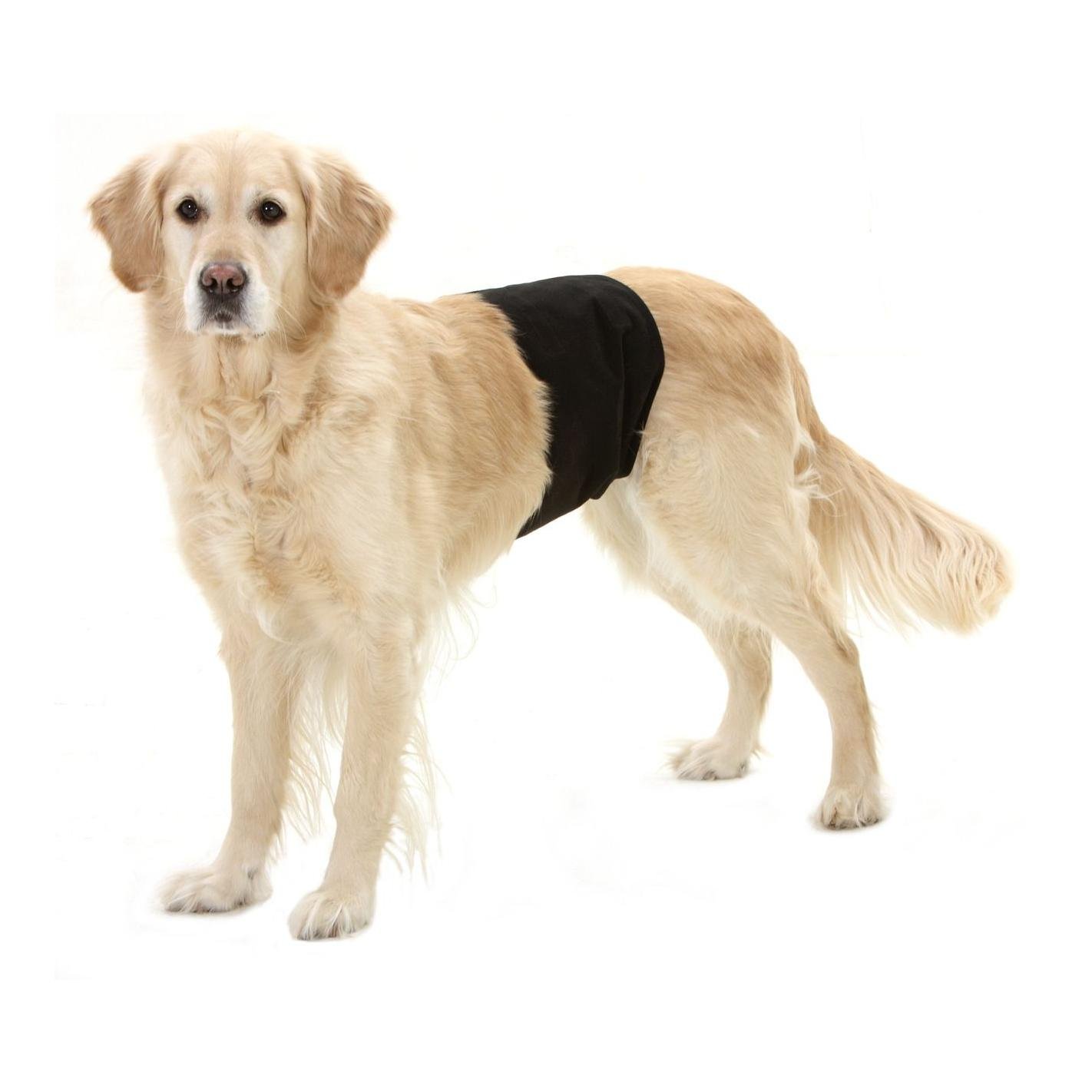 Rüden Hundeschutzhose