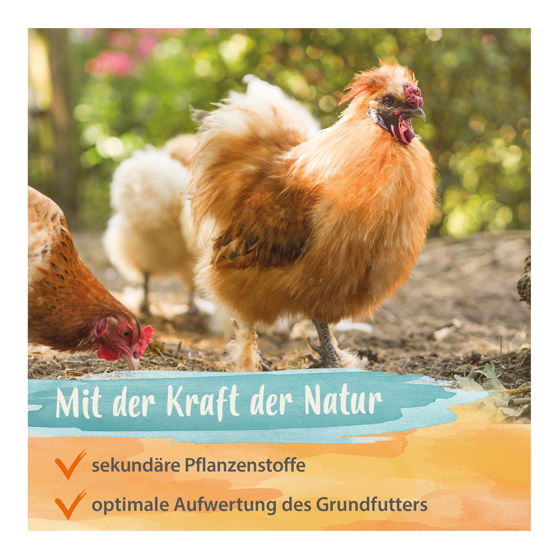 PowerHerbs - natürliche Kräuter-Kraft