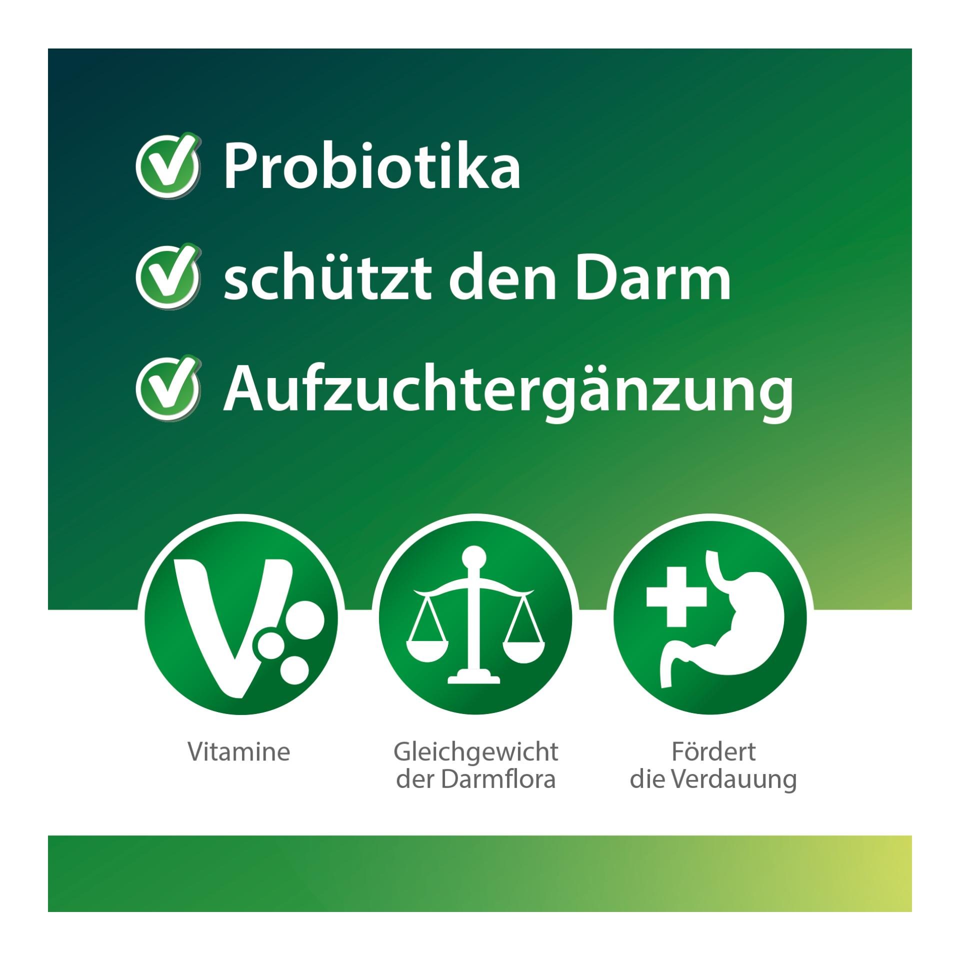 Kükenglück 2.0 - Ergänzungsfuttermittel für Küken