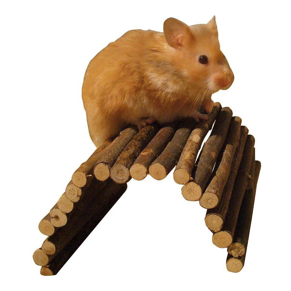 Weidenbrücke für Nager