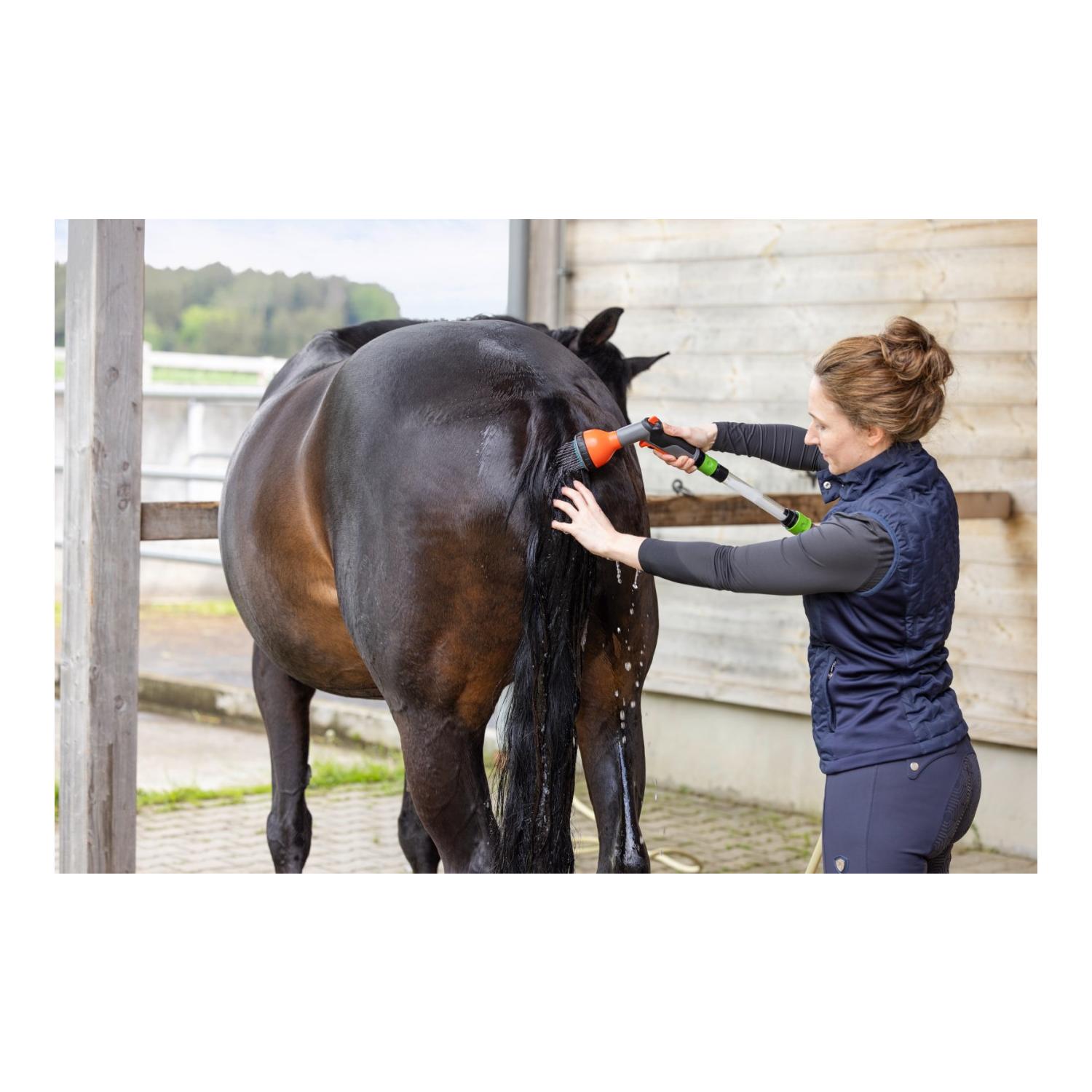 MagicBrush Pferde-Salzdusche Starterset