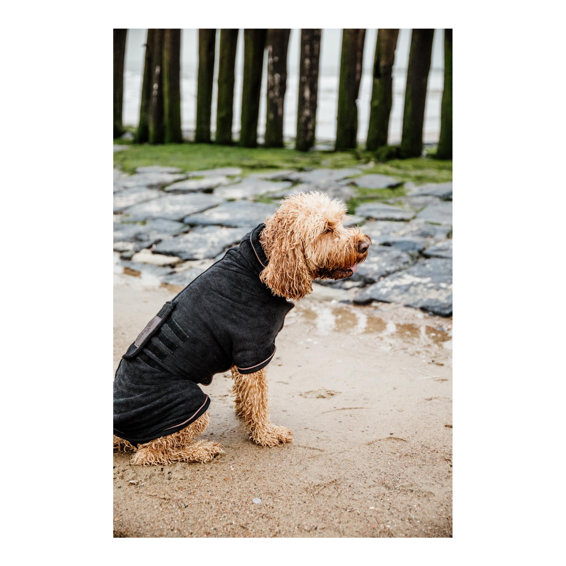 Hundemantel Dog Coat Towel