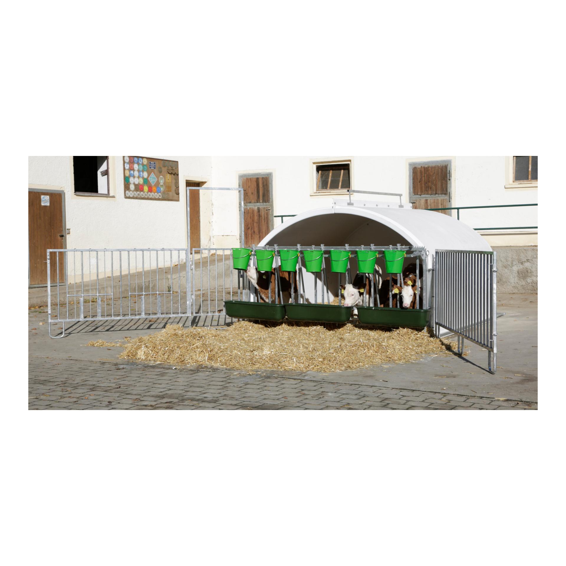 CalfHouse Premium XXL