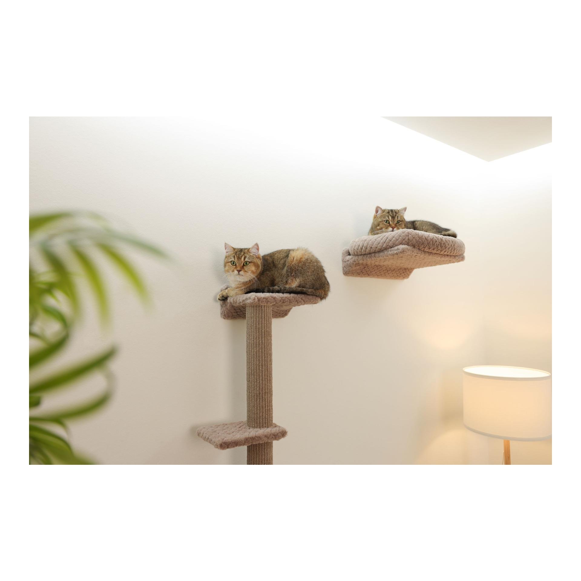 Kletterwand Monte Alpi für Katzen, 4-teilig