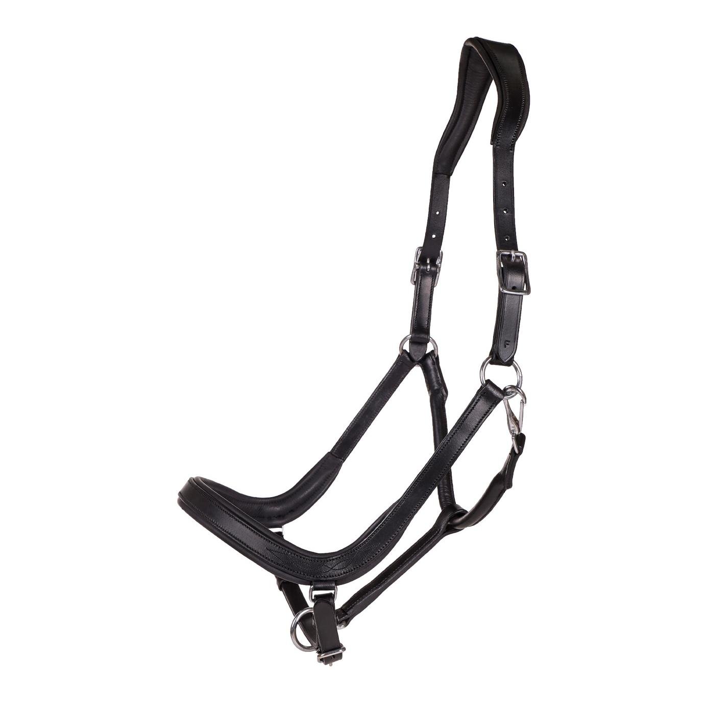 Lederhalfter Salerno anatomisch