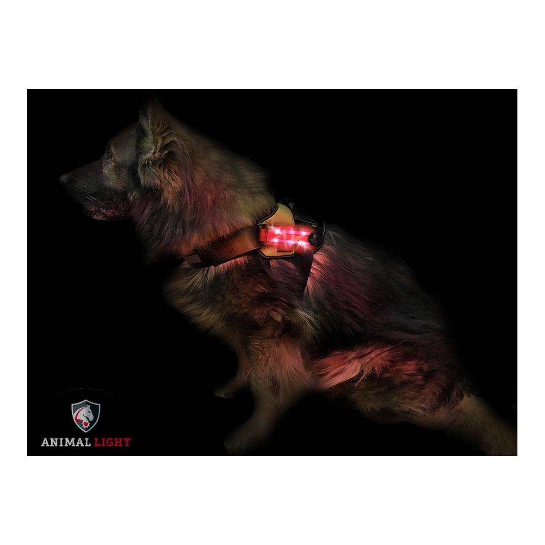 Harnais lumineux pour chien "Flex" - rouge