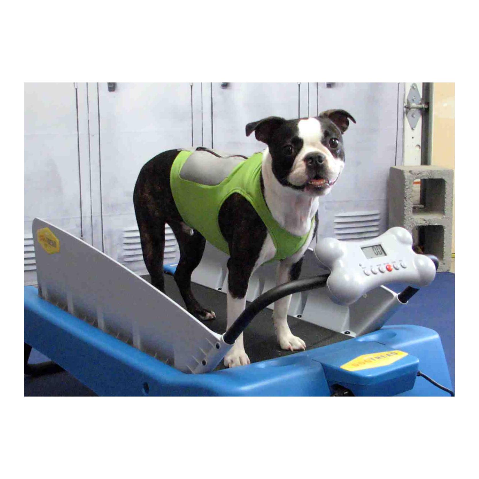 K9FIT Vest Starter Kit K9FIT Vest Starter Kit