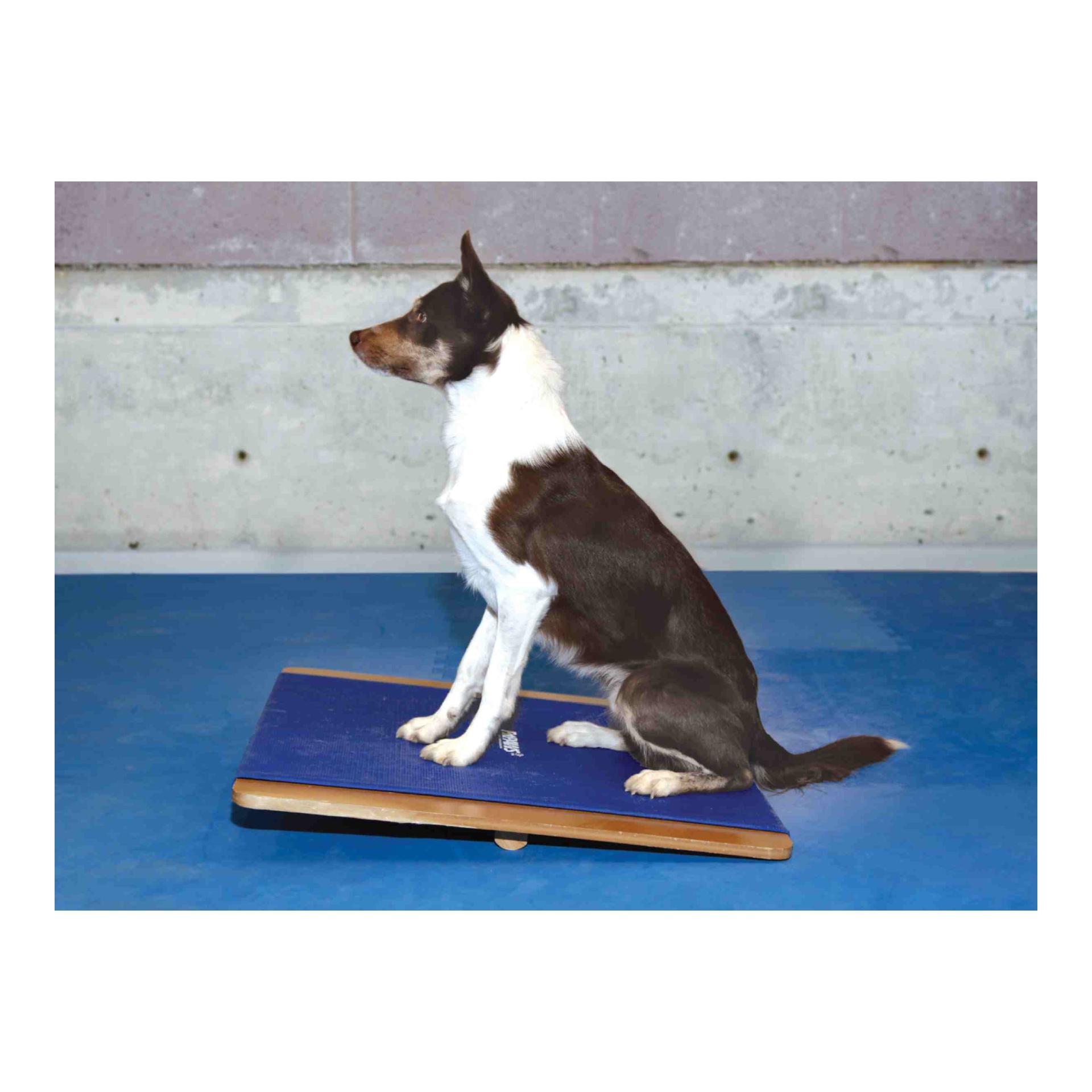 Giant Rocker Board, eckig