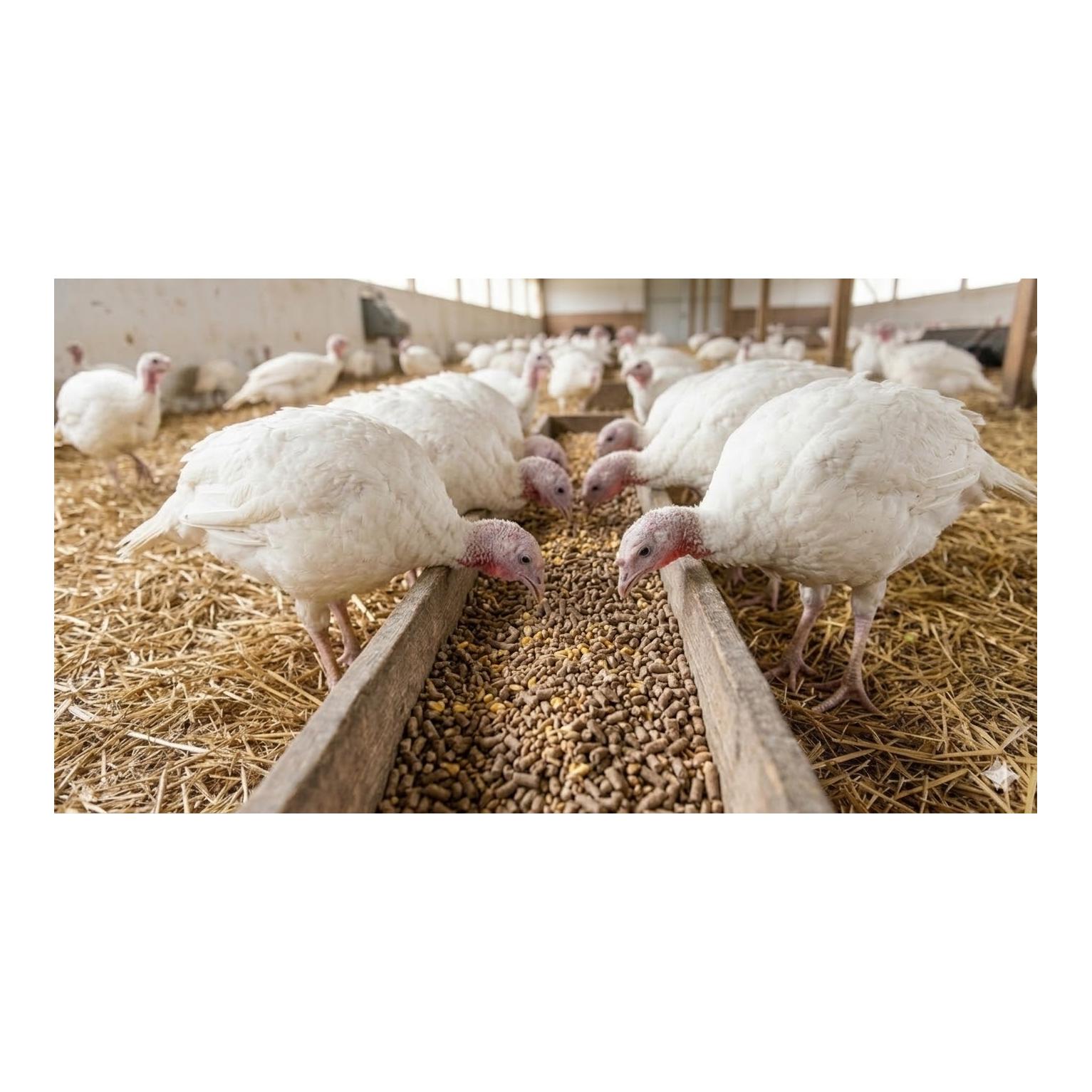 granovit Truten Mastfutter