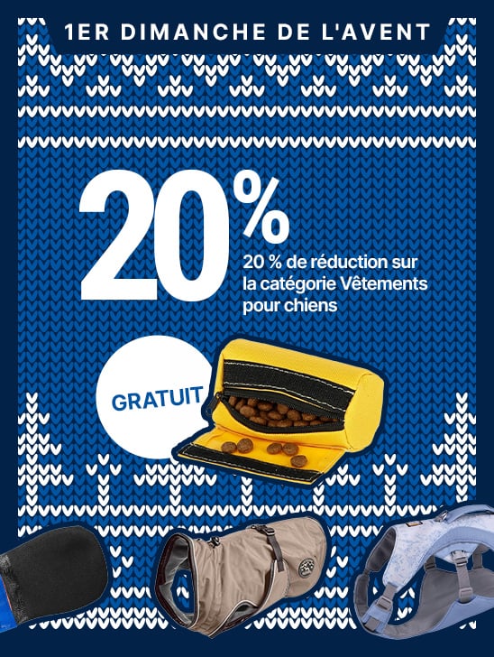 HP-Adventsaktionen-EKW-548x728-2x-startpage-FR-1