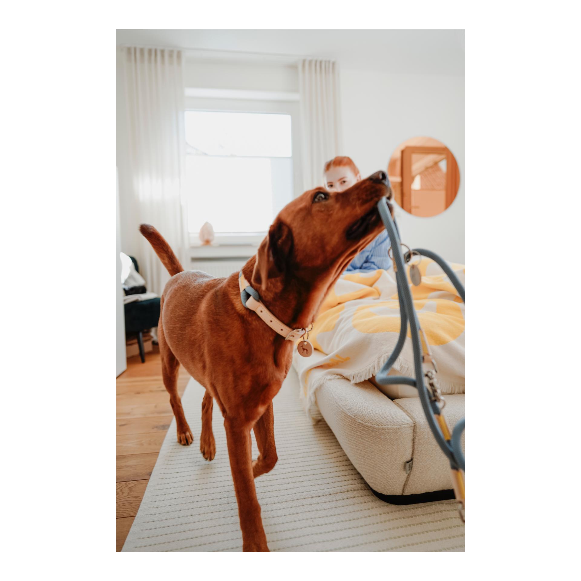 Verstellbare Leine Malia