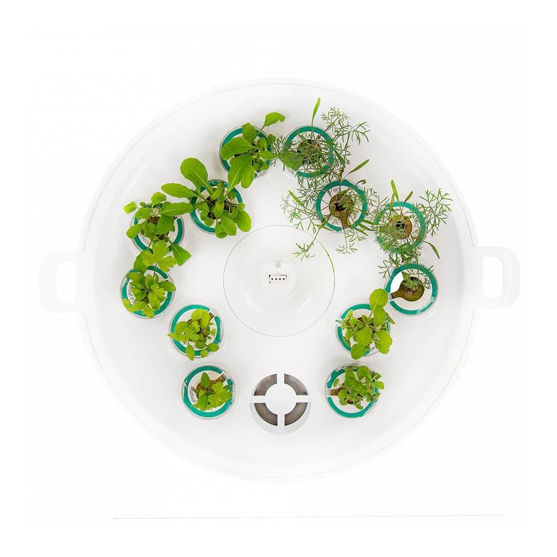 Image of Plantui Anzuchtschale bei Hauptner.ch