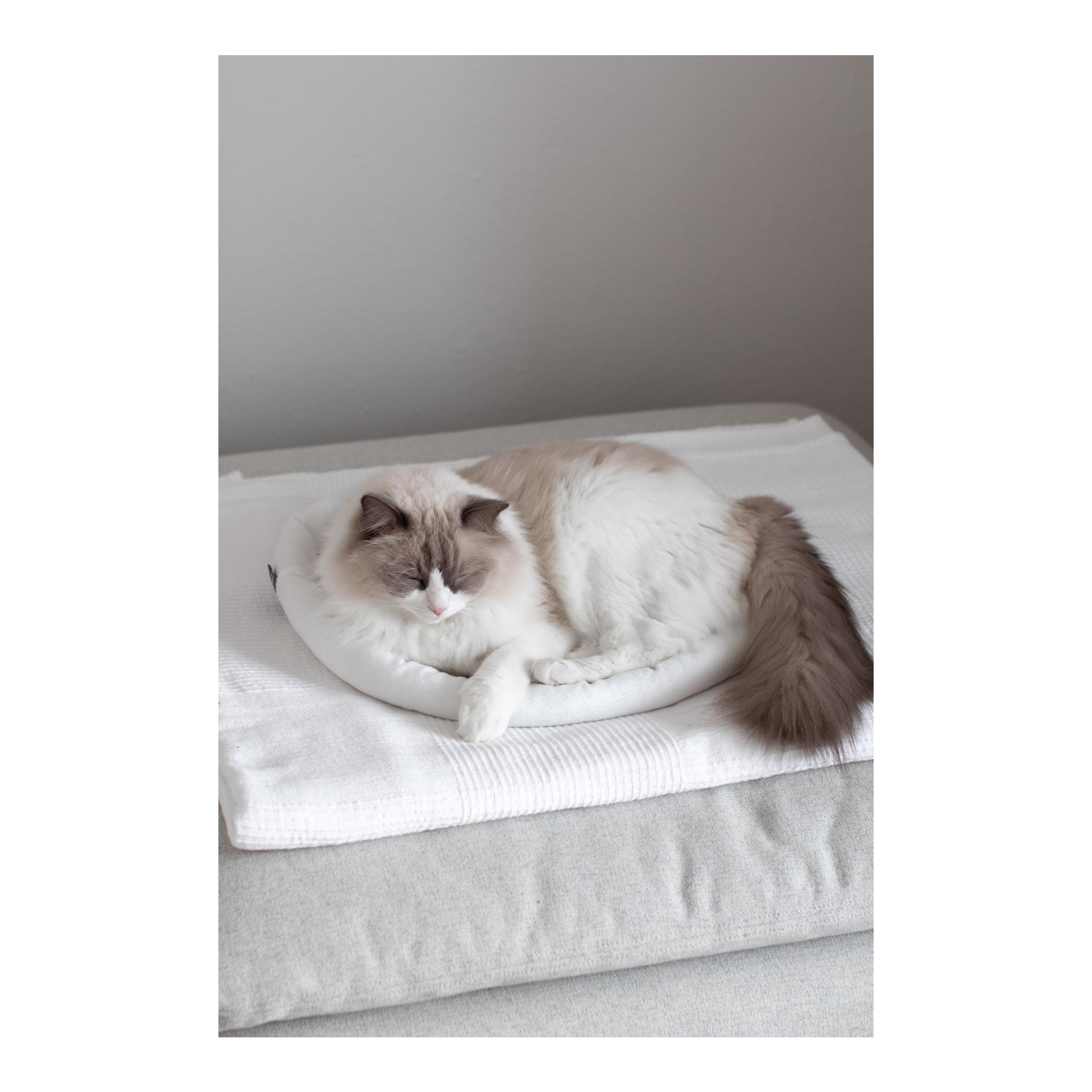 Kuschelbett Sweety - beige/nude