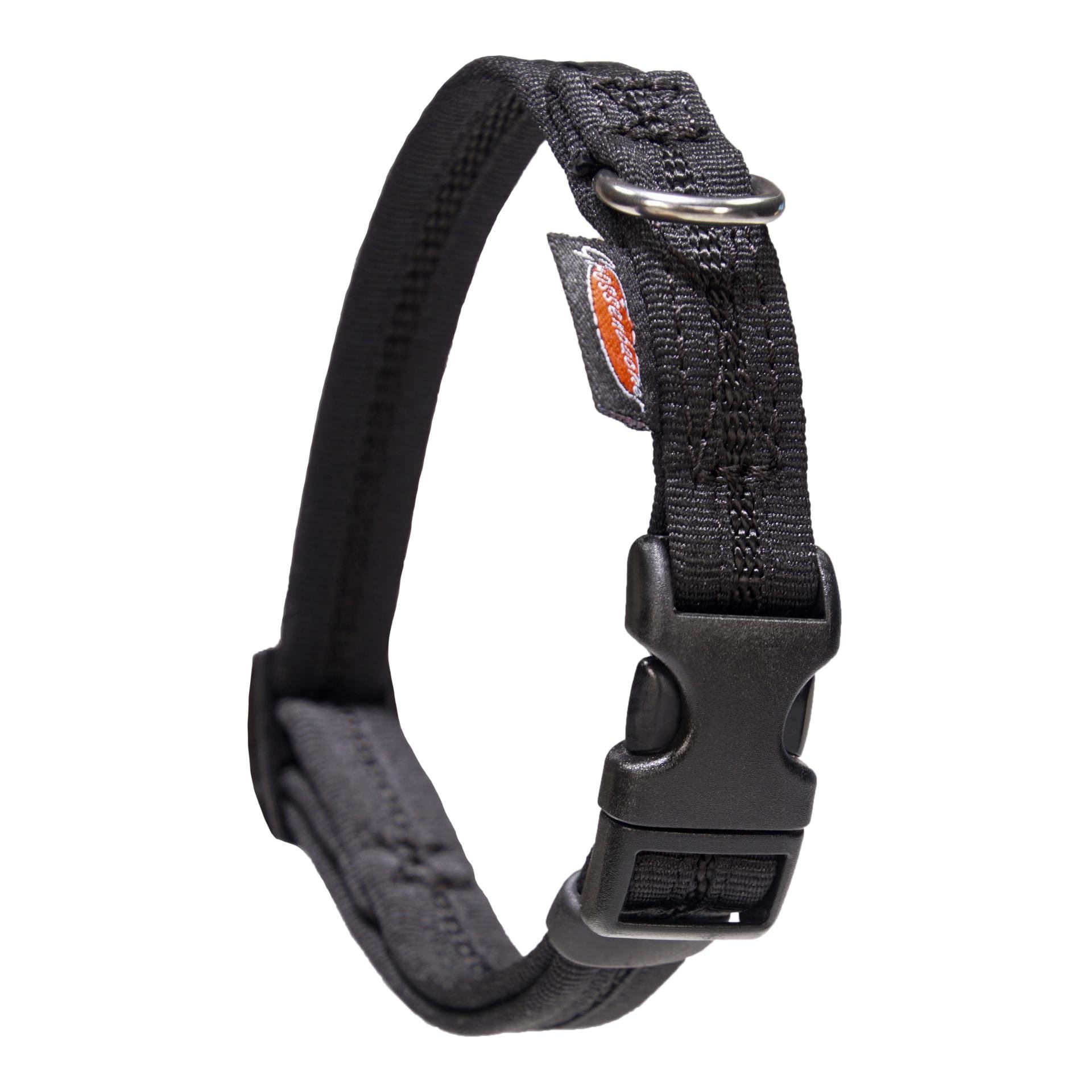 Halsband eingefasst, direkt