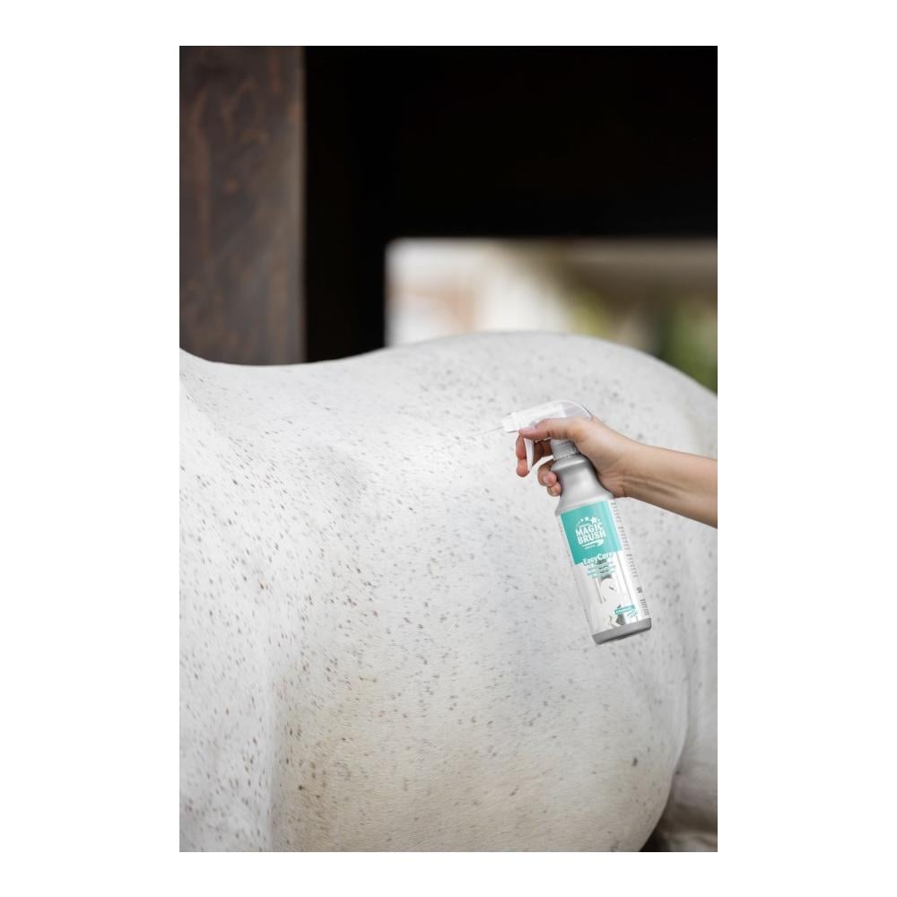 MagicBrush Reinigungslotion EasyCare