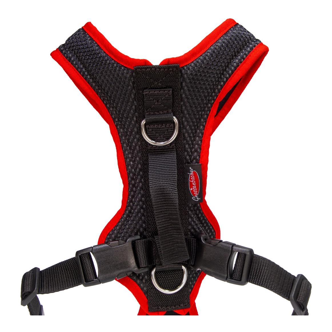 Harnais pour chien Dogs Fun Run