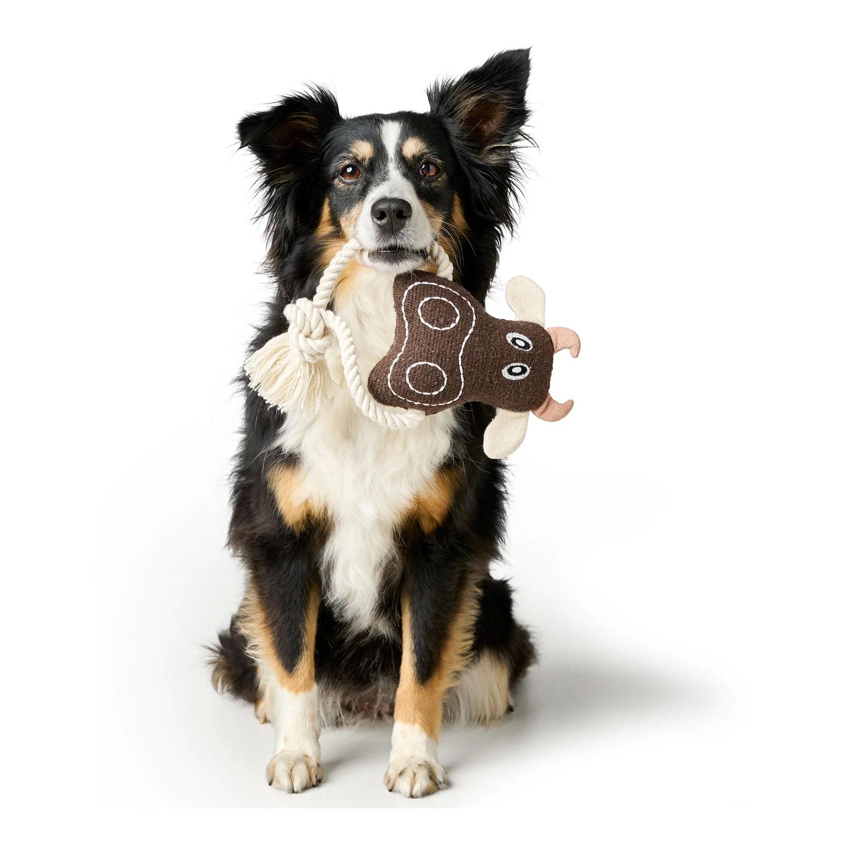 Hundespielzeug Nebraska