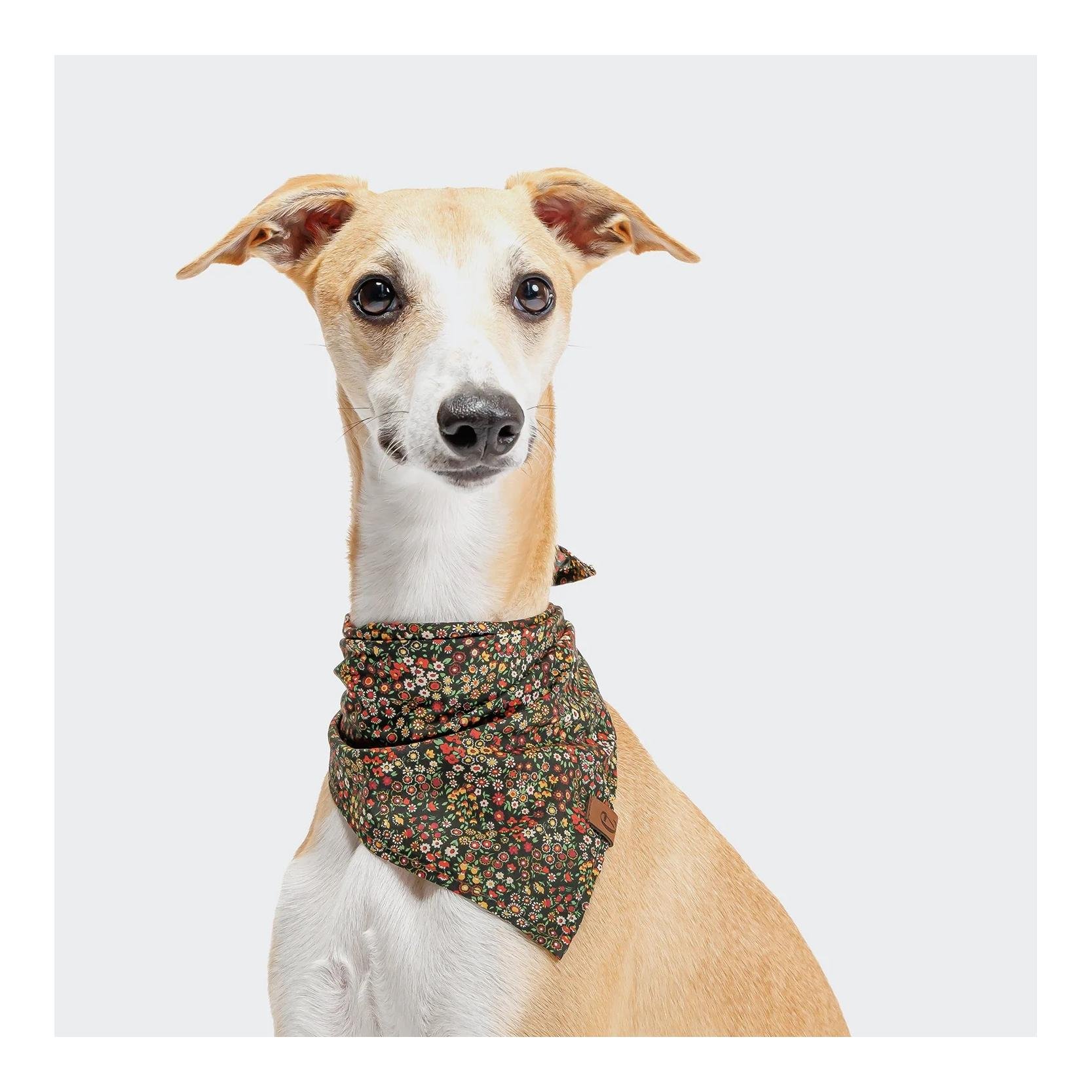 Hundehalstuch Bandana
