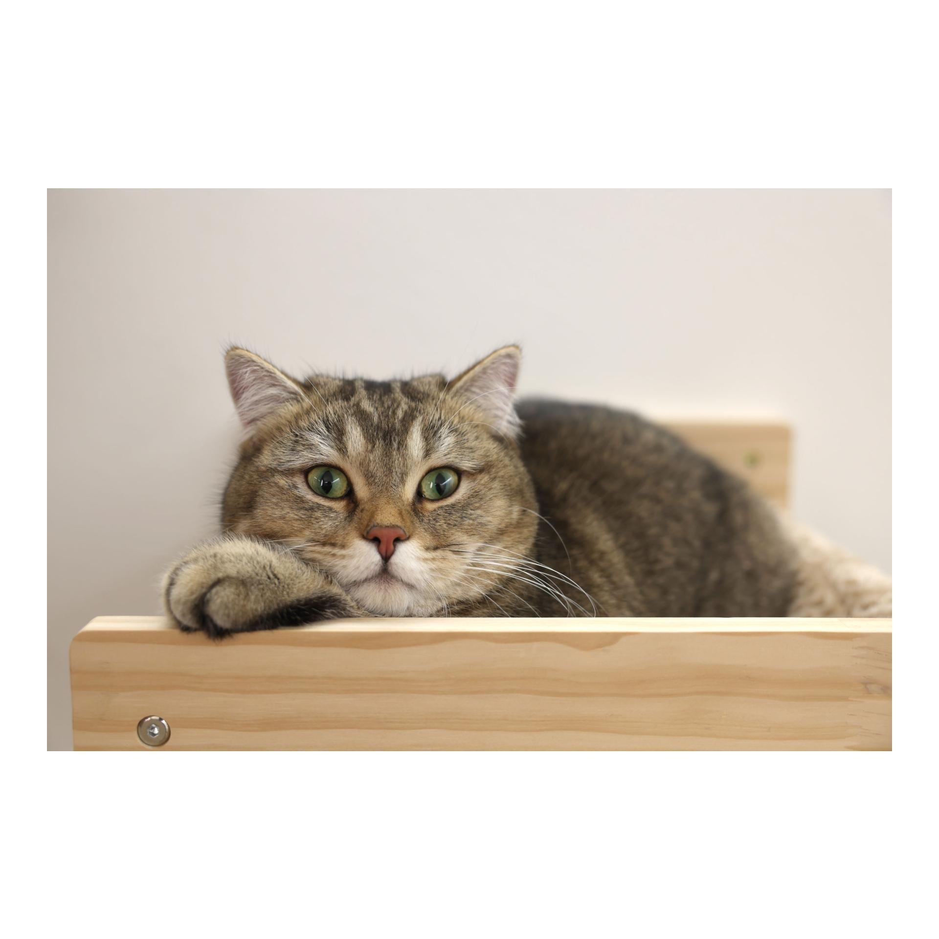 Wandhängematte Timber