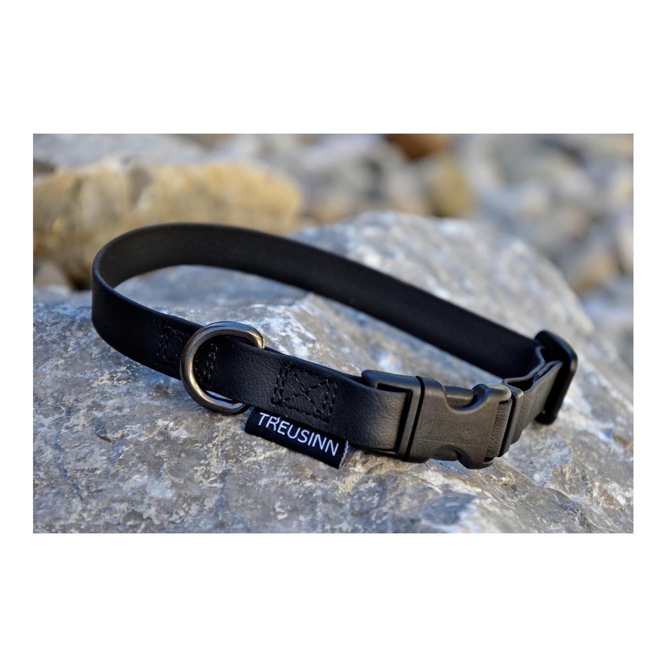 Collier pour chien Biothane STAY - noir