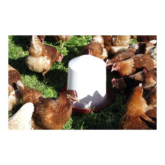 Covatutto Abreuvoir en plastique