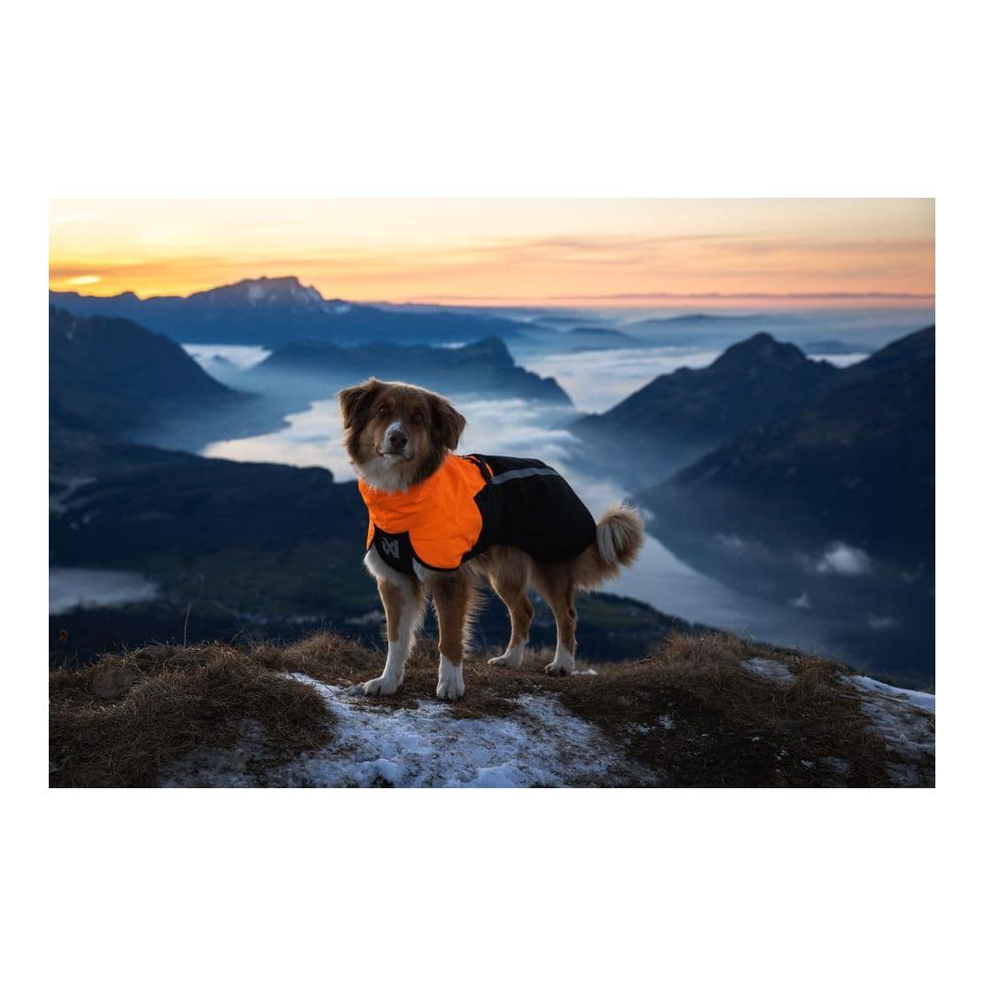 Fjord Regenmantel 2.0