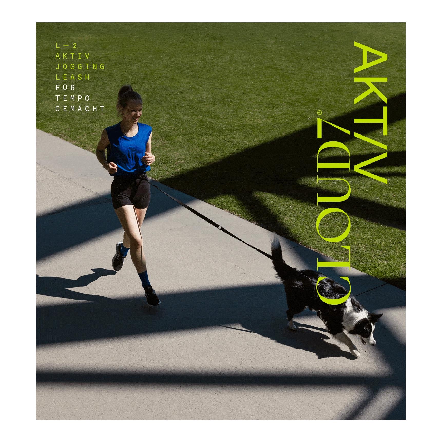 L-2 Laisse de jogging pour chien