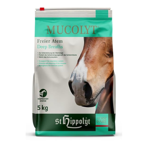 Mucolyt Atemwegskur