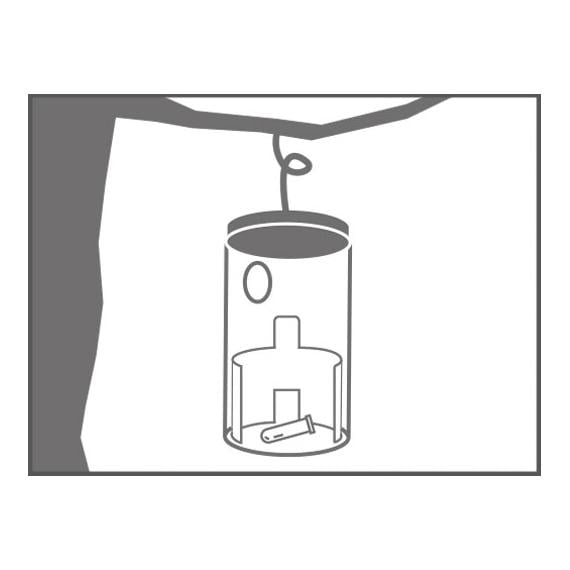 Pheromon Ersatzköder für Buchsbaumzünsler - 2 Stück