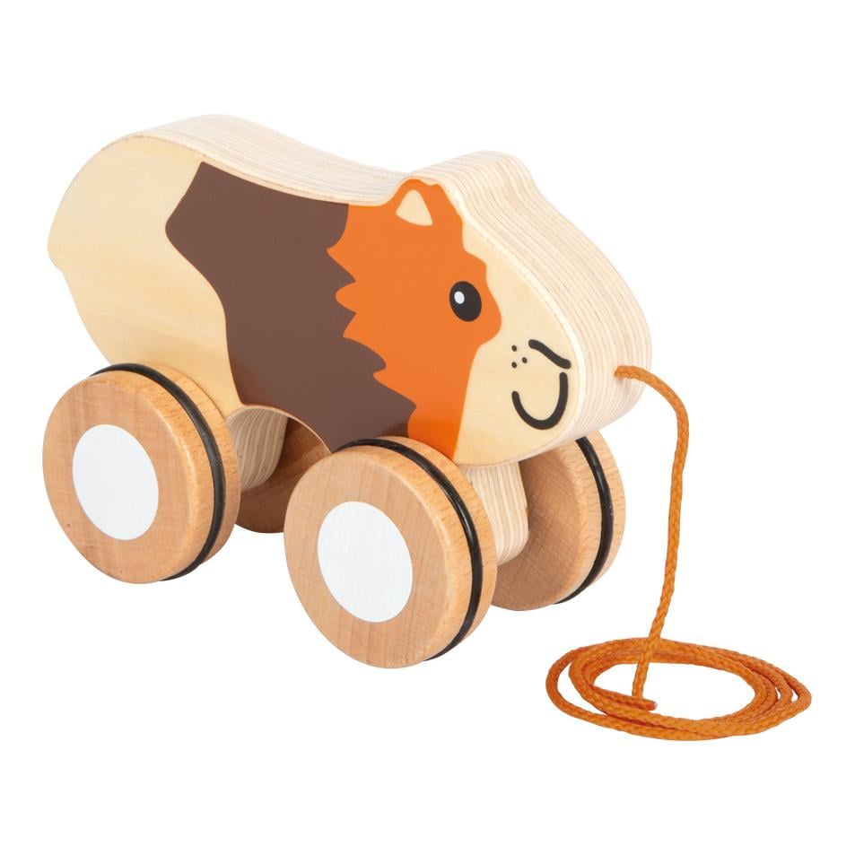 Nachziehtier Meerschweinchen